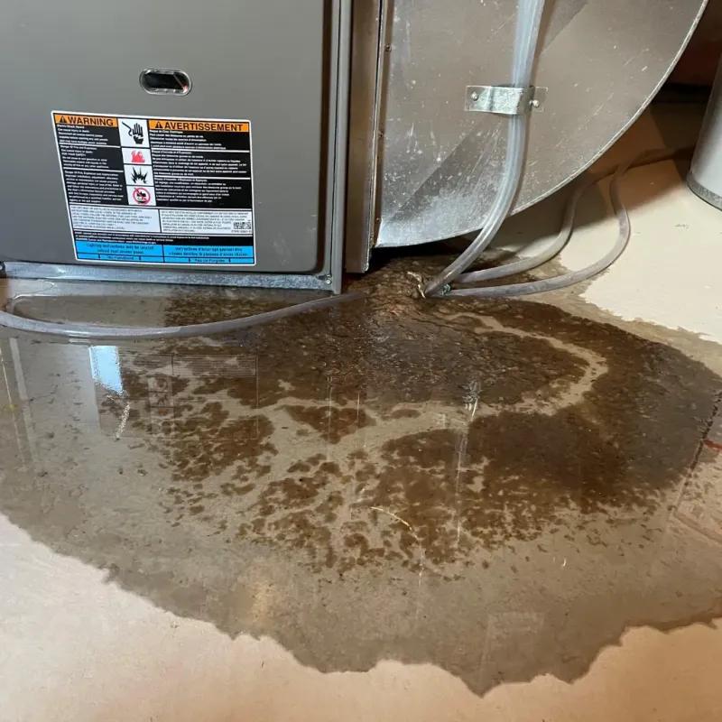 Appliance Leak Cleanup in Sunland Park, NM